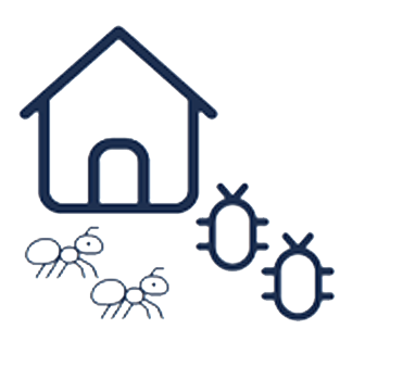 Foundation Insect Control